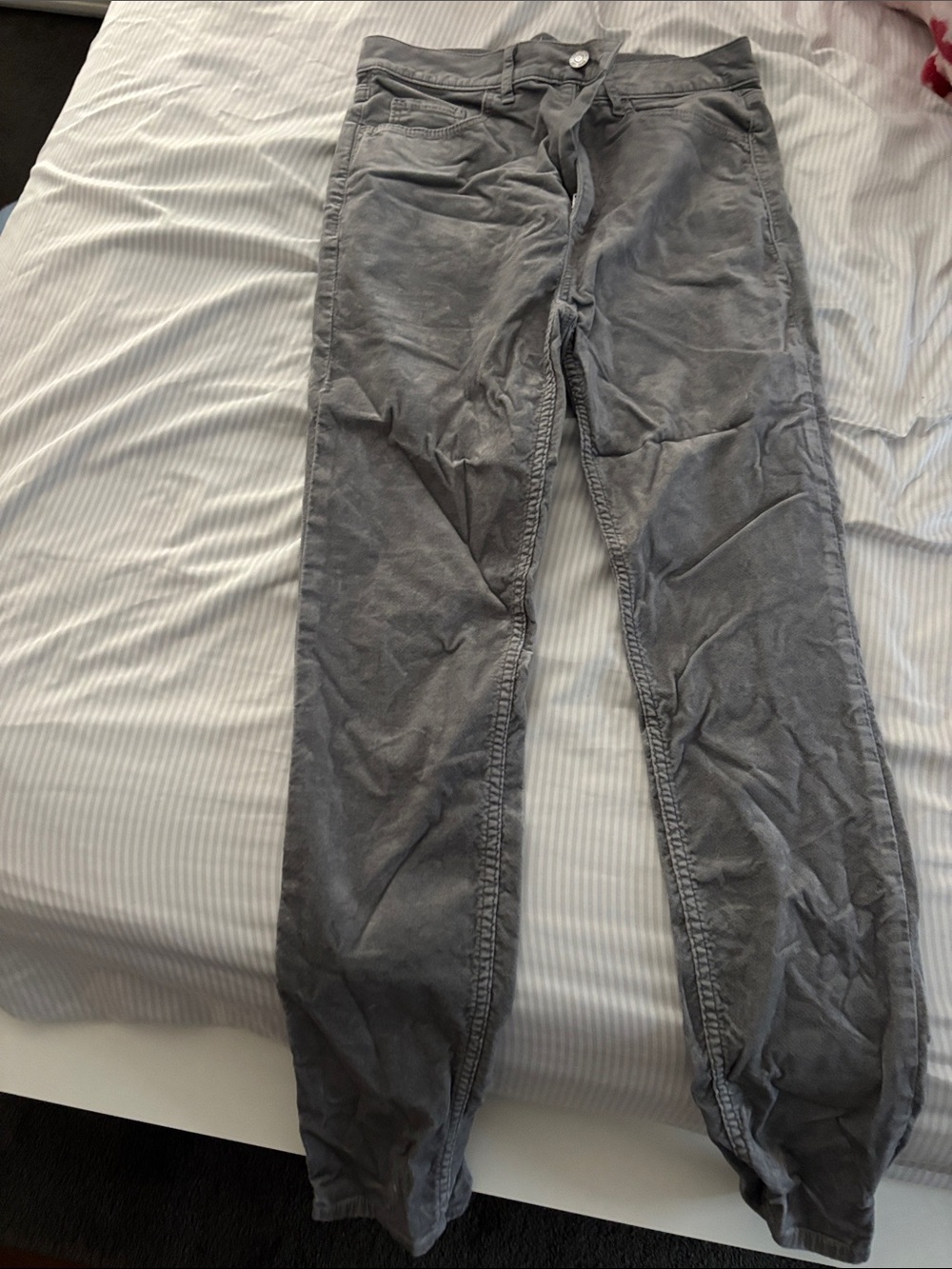 Women’s Velvet Pants